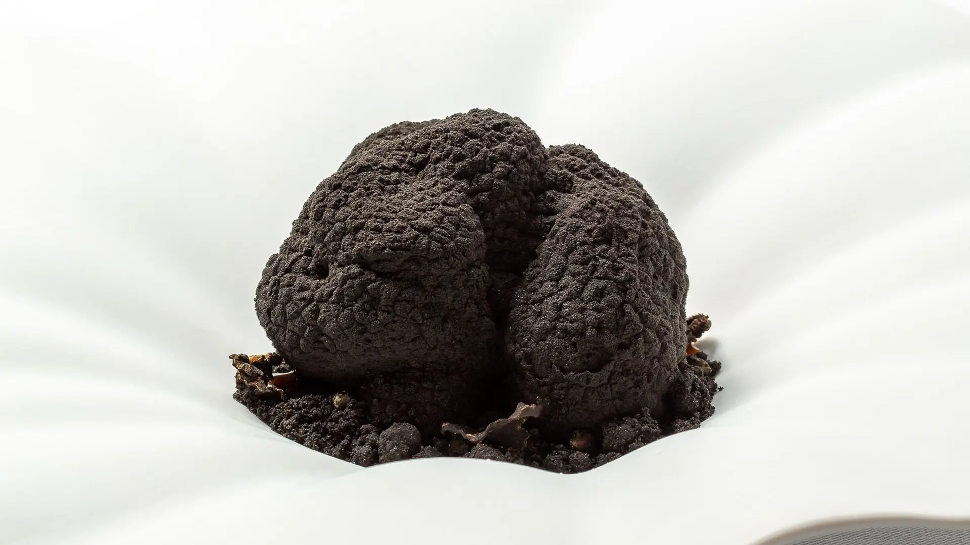 Tiramisu à la truffe noire du Périgord (4)