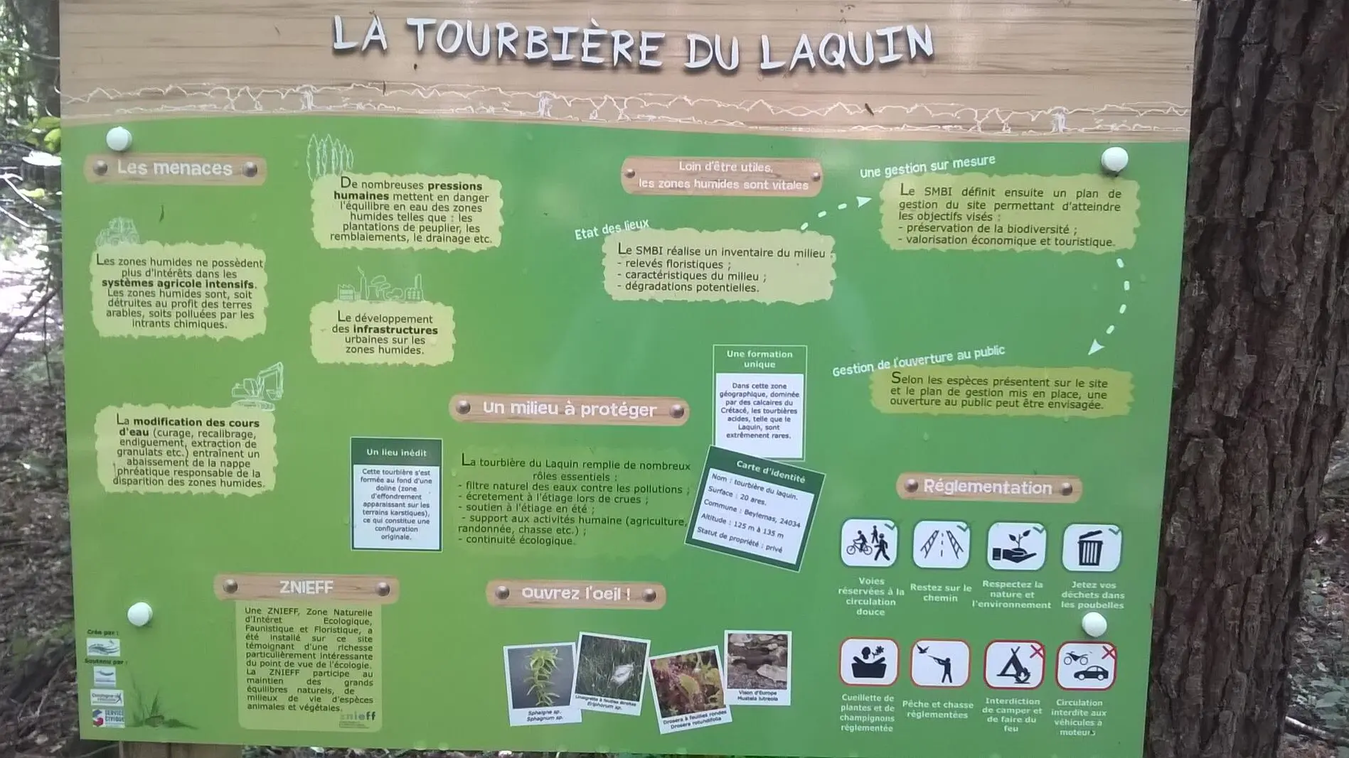 Tourbière du Lanquais Beleymas (4)