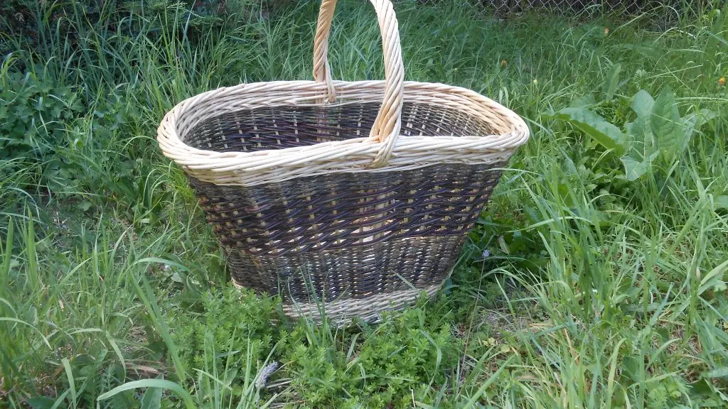 VANNERIE 2020 ET MOUSTIERS STE MARIE 010