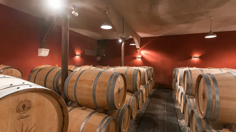Vignobles-des-Quatres-Vents3
