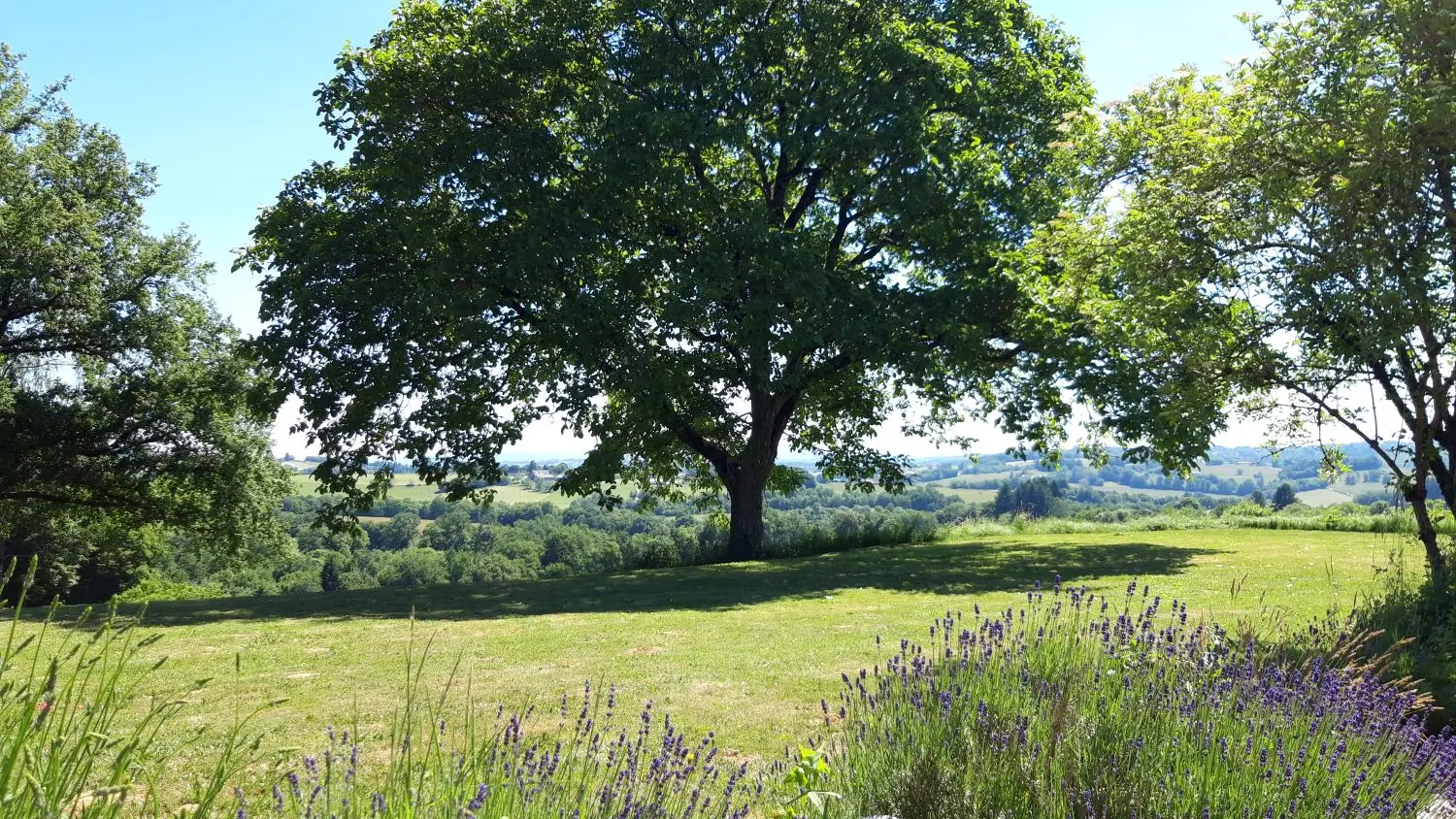 Vue jardin ©Domaine du Grand Brugeron