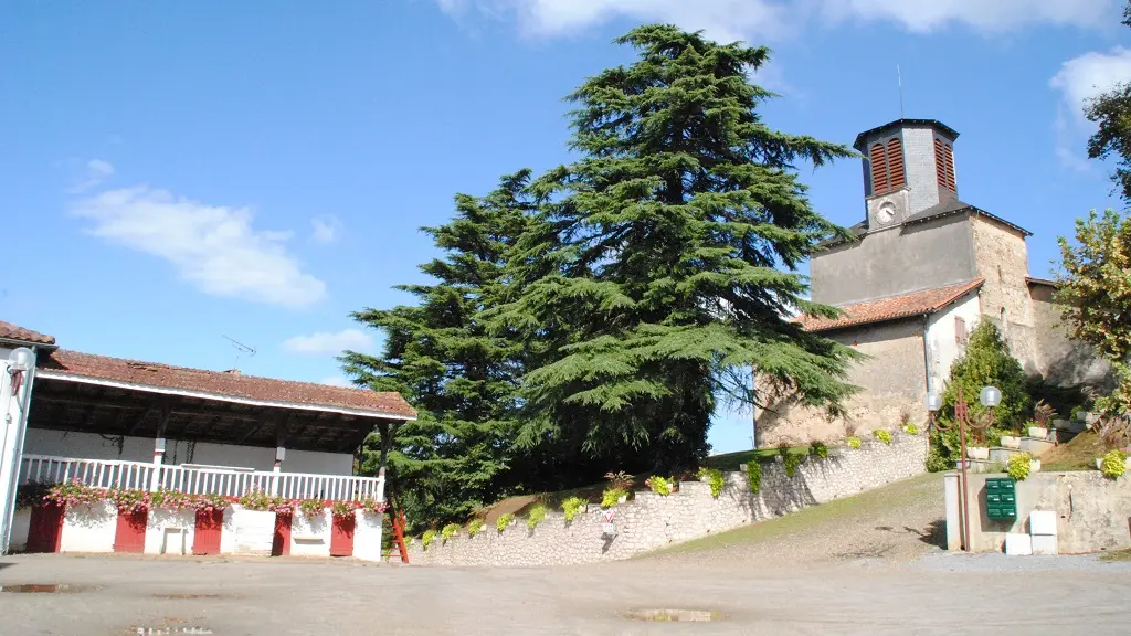 Vue sur les arènes de Baigts