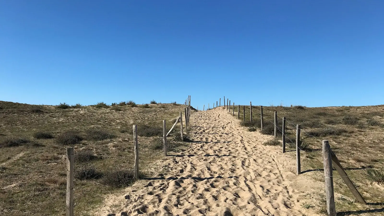 Zen Océan accès plage Vensac