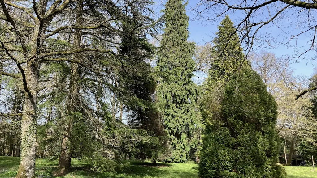 Arboretum parc du château de Montautre