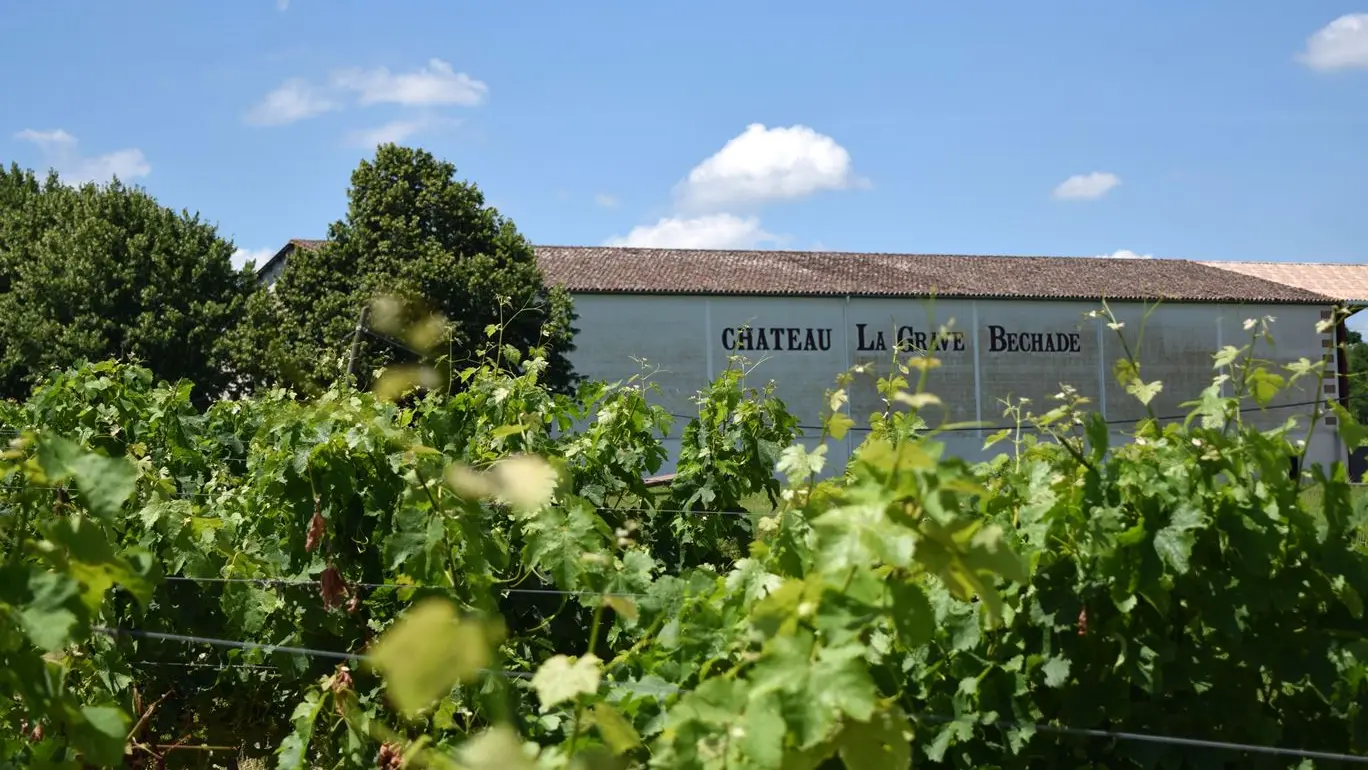 autour-duras-chateau-la-grave-bechade--19--2