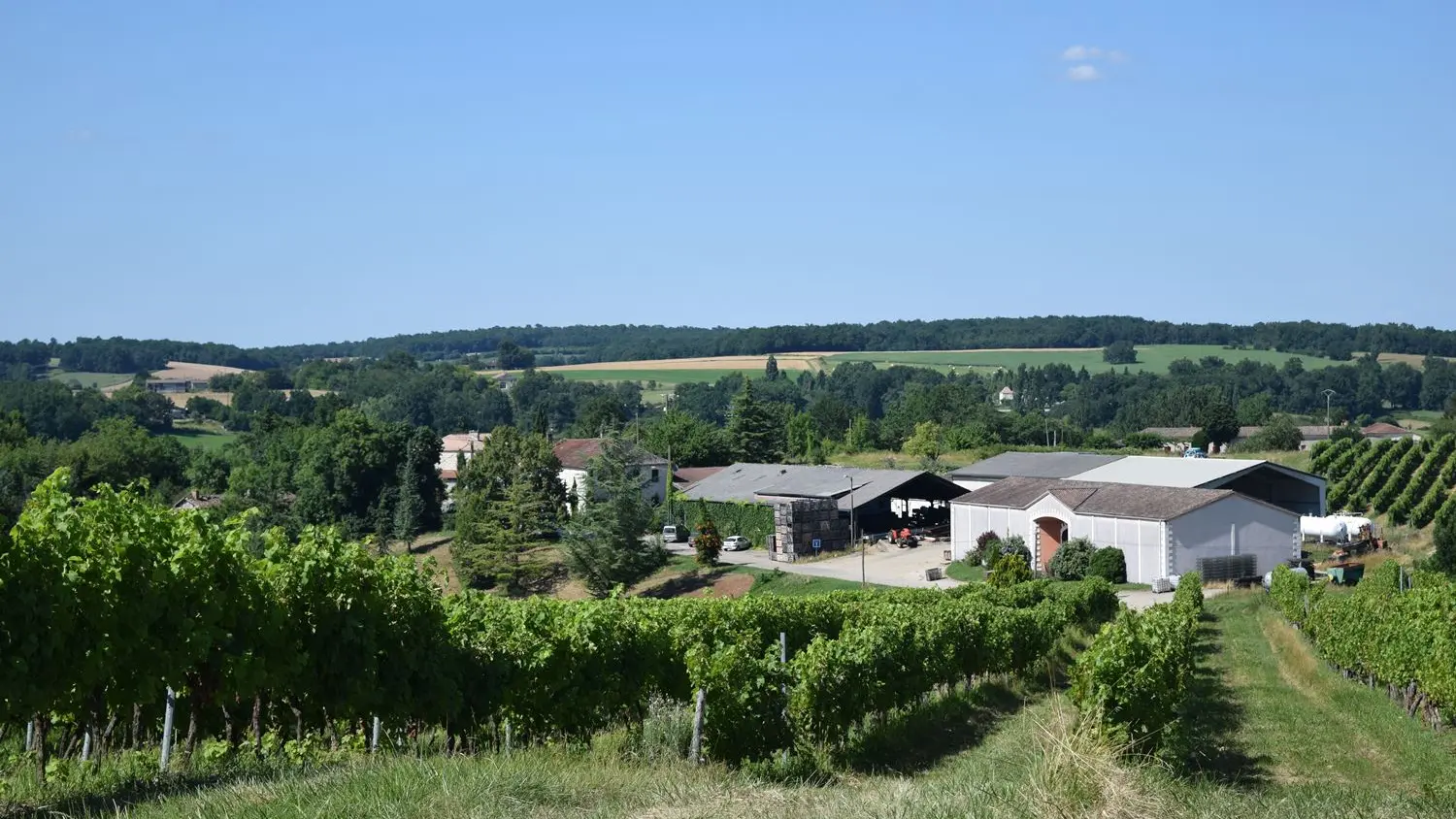 autour-duras-domaine-du-vieux-bourg--56--2