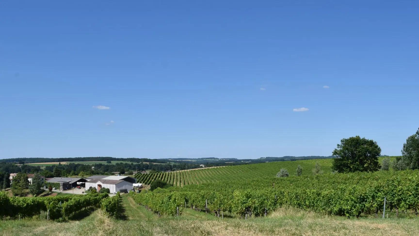 autour-duras-domaine-du-vieux-bourg--59--2