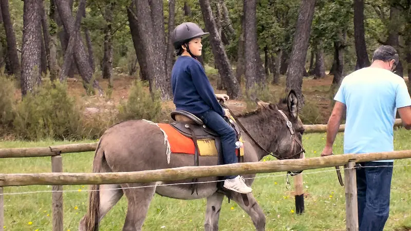 Promenade à dos d'âne