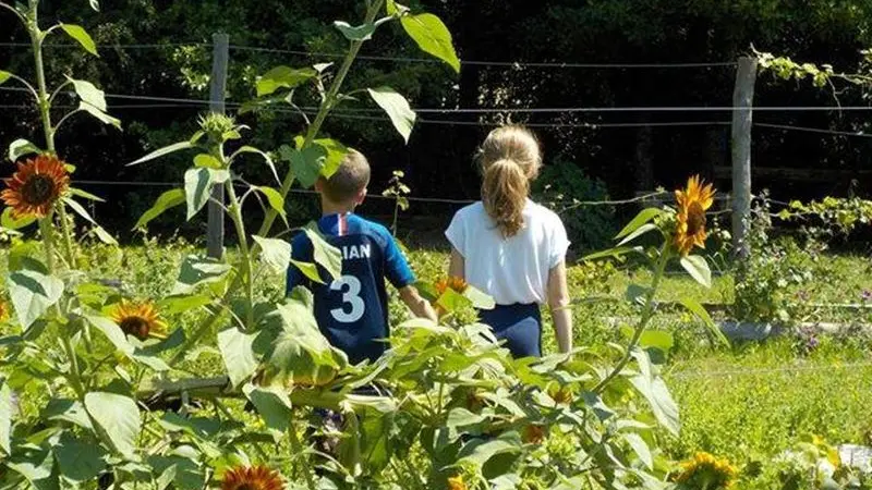 balade-jardin