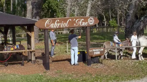 Promenade à dos d'âne