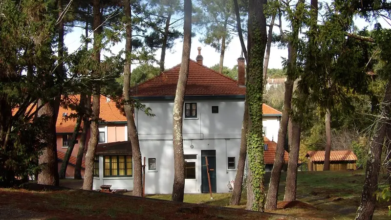 bois st vincent