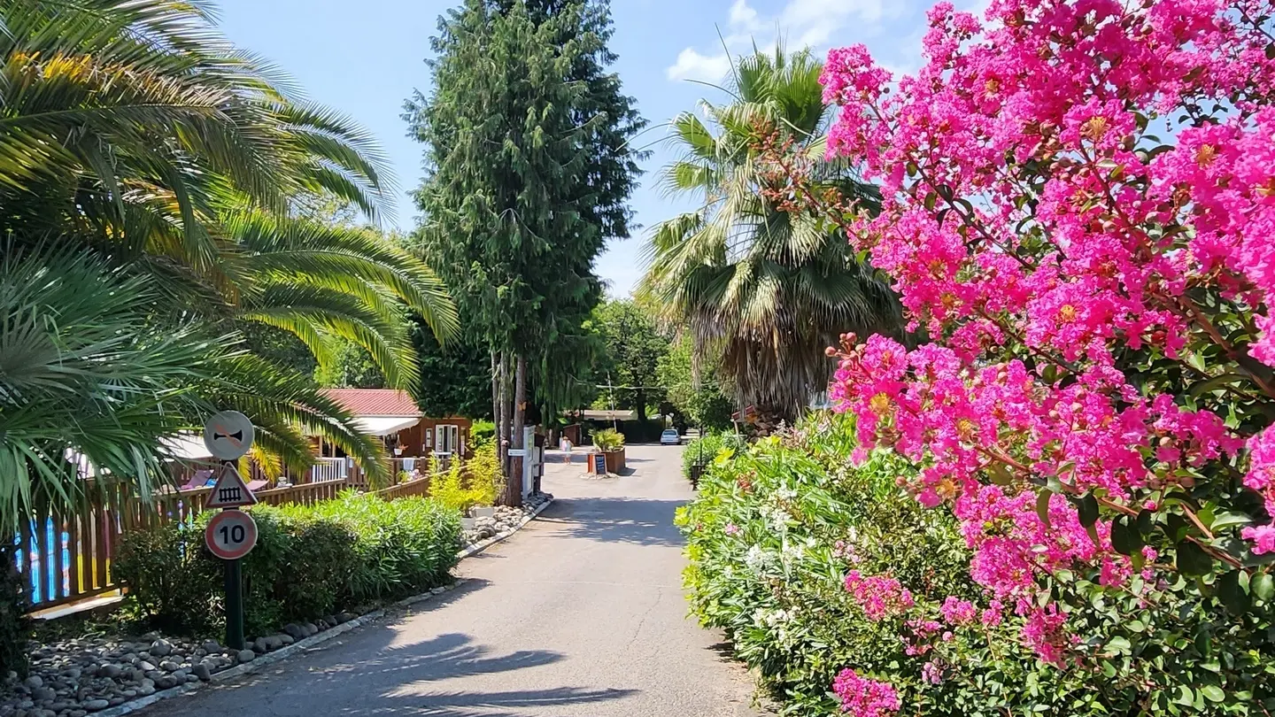 Camping City Nature - lescar - entrée