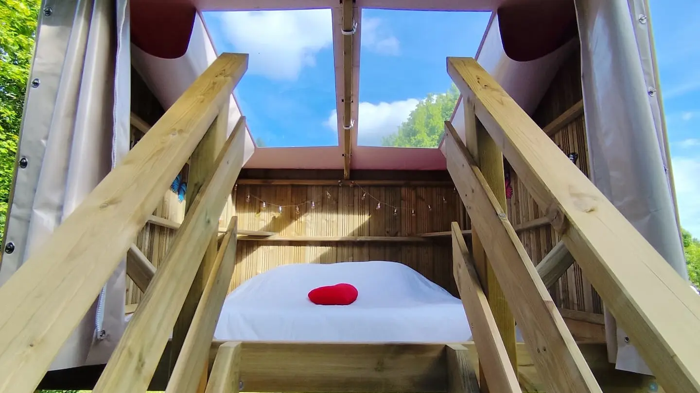 Friendly Camping and Lodges