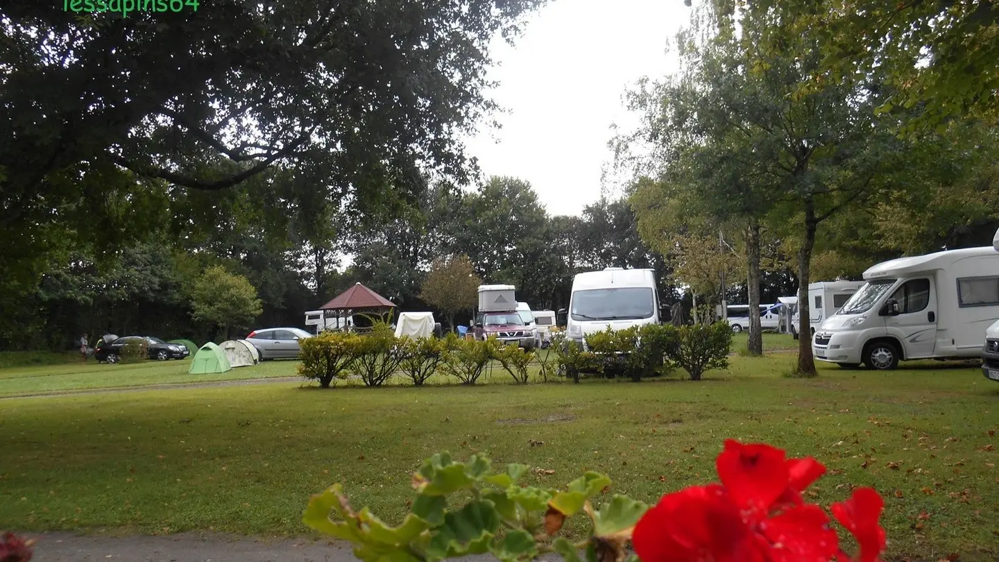 Camping les Sapins - Ousse - Vue d'ensemble