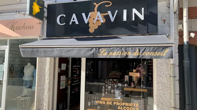 cavavin