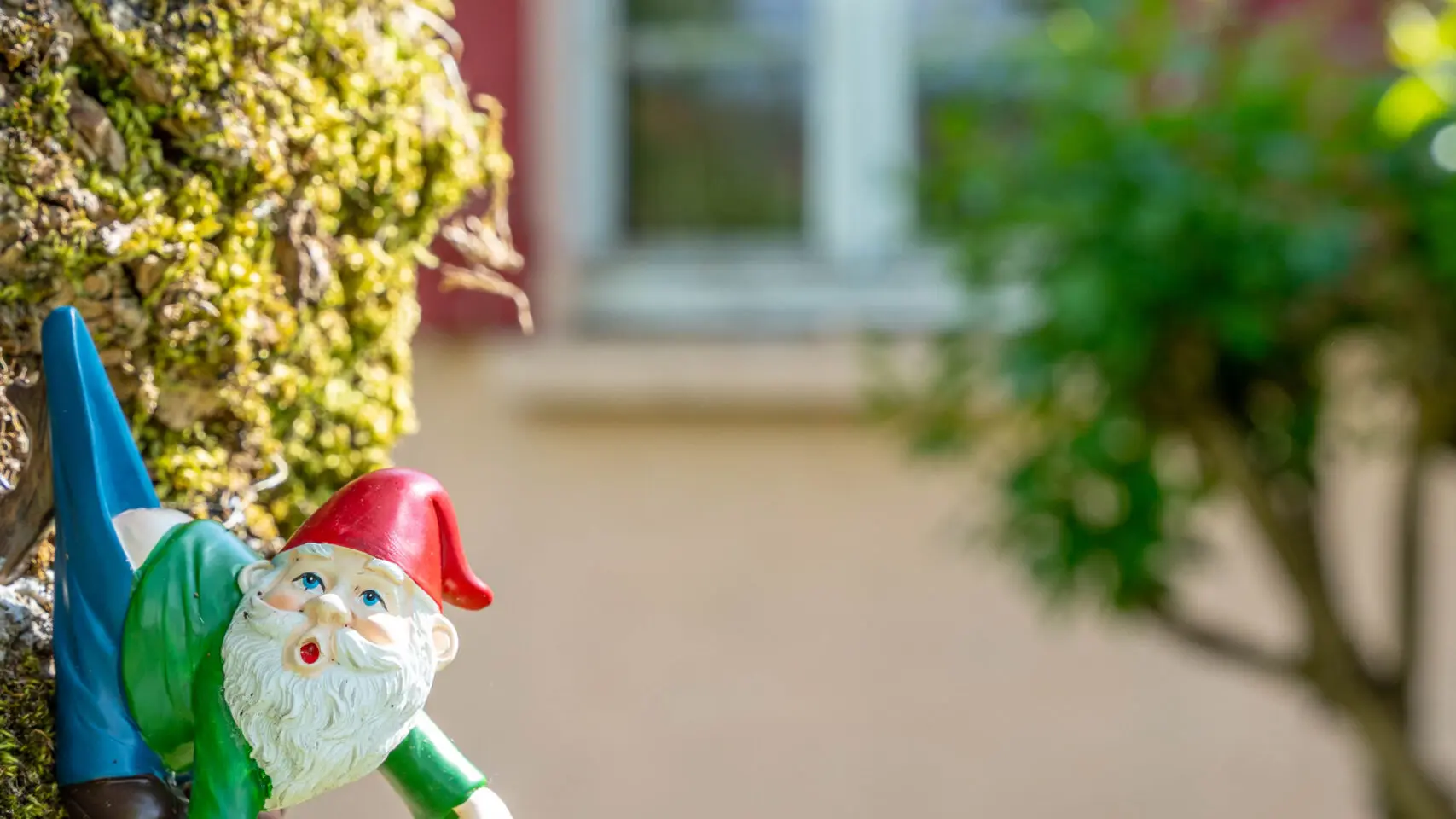 centre-baan-thai-végétation-villamblard-tourisme-vallée-isle