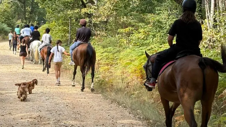 centre-equestre-neuvic