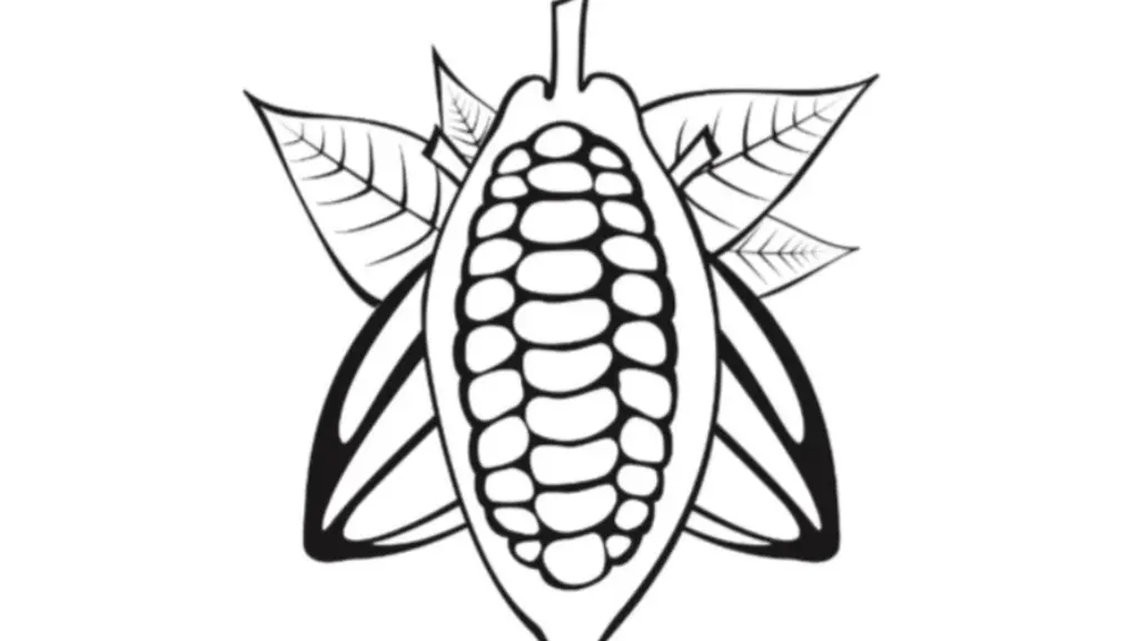 chocolatier_chabert_08