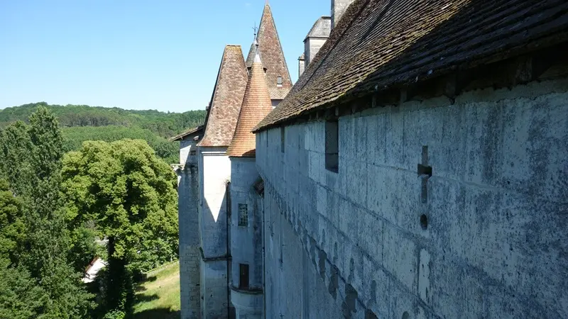 château l'Eveque3