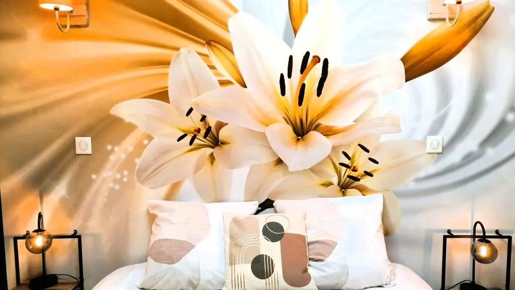 chambre-verrière-gîte-la-colline-truffière