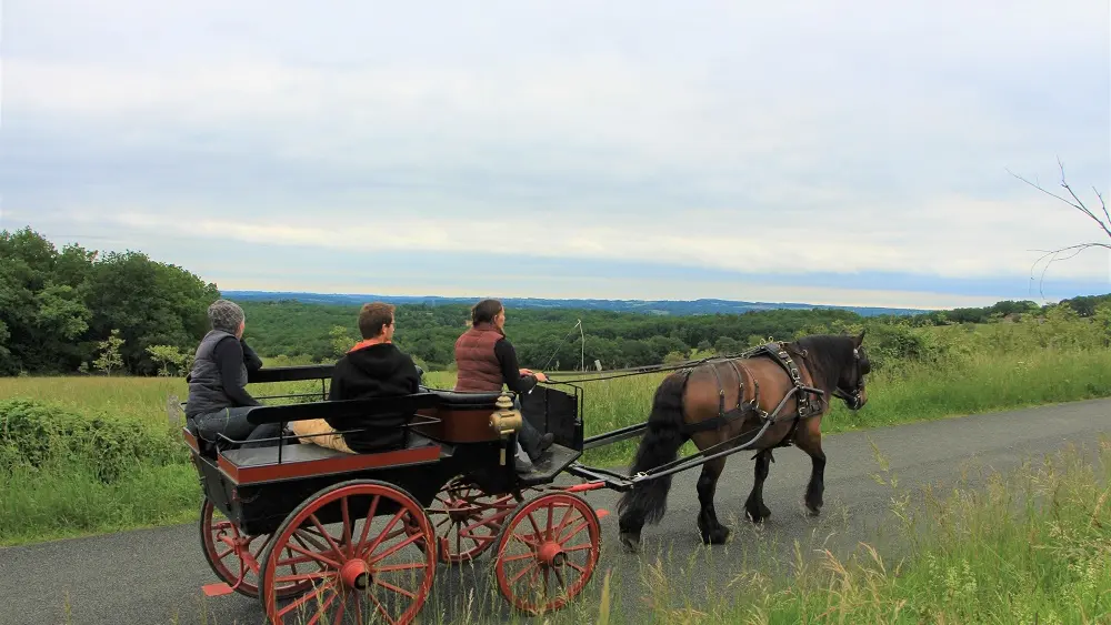 chevaux-dans-caleches