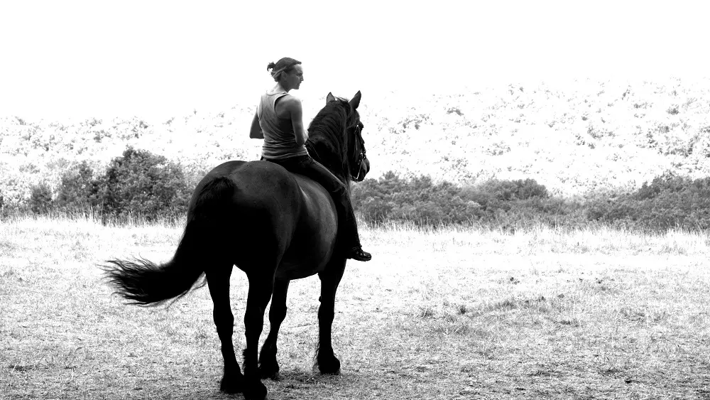 cheveauxdans-4