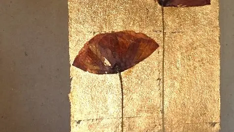 coquelicot sur feuille