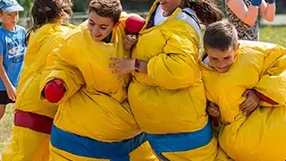 Sumo