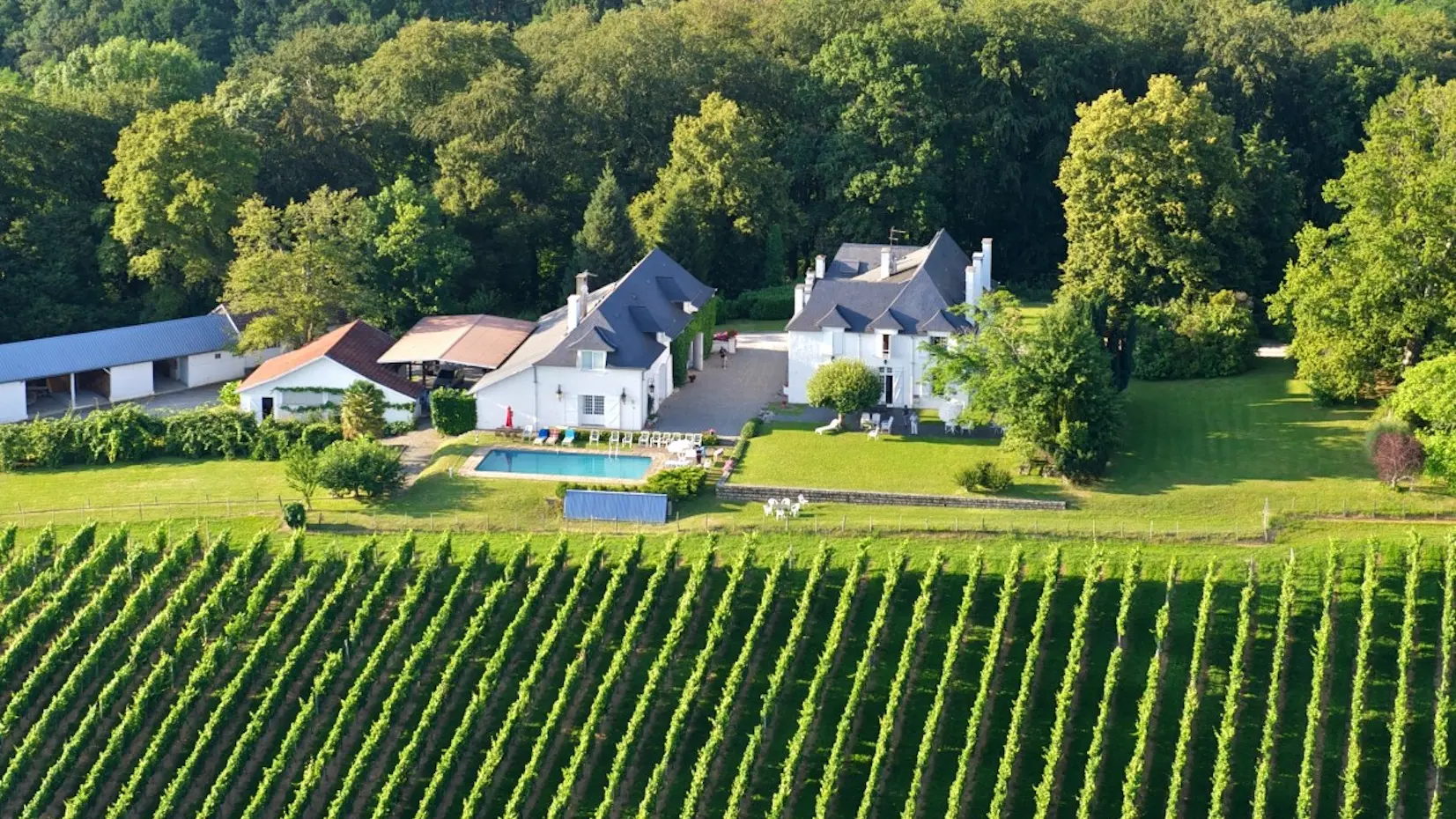 Clos Mirabel - Jurançon - vue sur les vignes