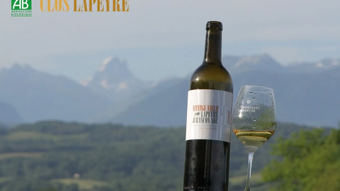 Clos Lapeyre - vins de Jurançon - oenotourisme - Vallée d'Ossau - santat