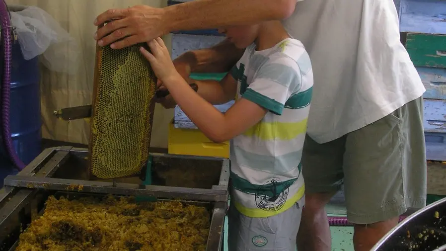 démonstration-miellerie-apiculture-corre