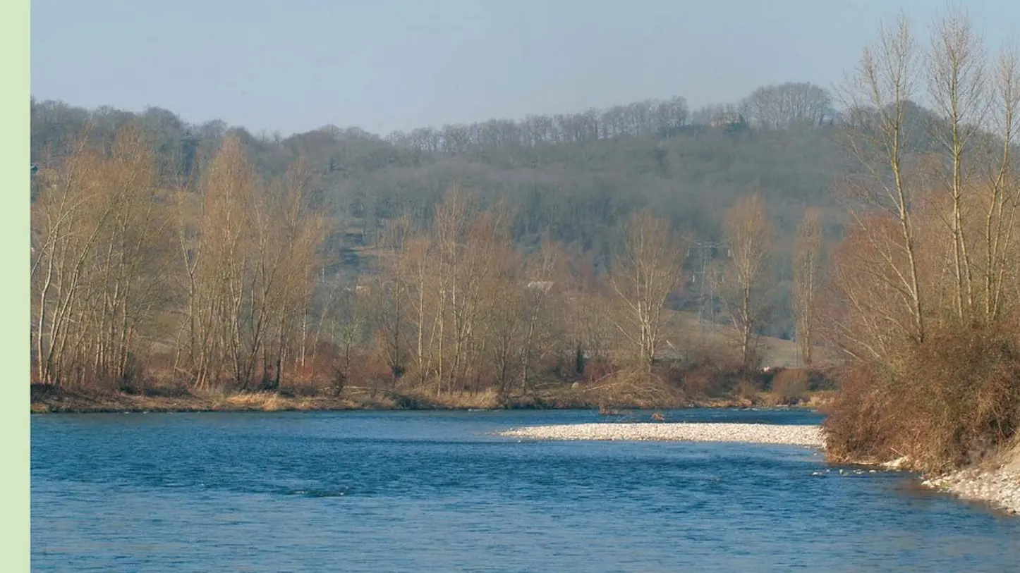 Aire de pique-nique - Denguin - vue sur le gave