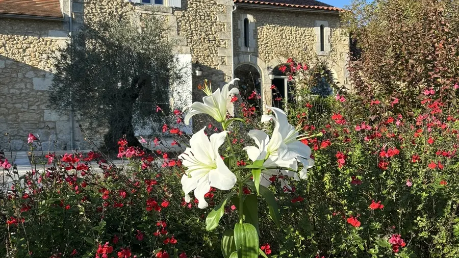 domaine-ecrin-lumiere-jardin-campsegret-tourisme-vallee-isle