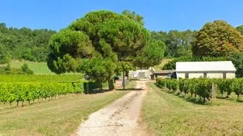 entrée grand roc vignoble domaine