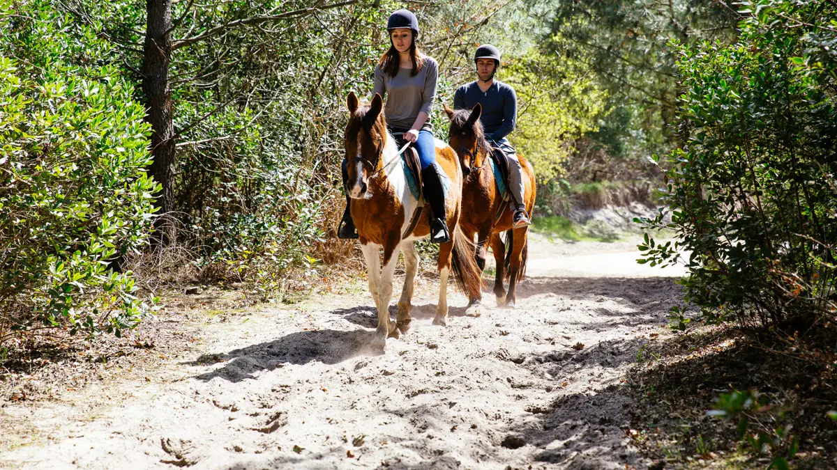 equitation-lege-cap-ferret-44