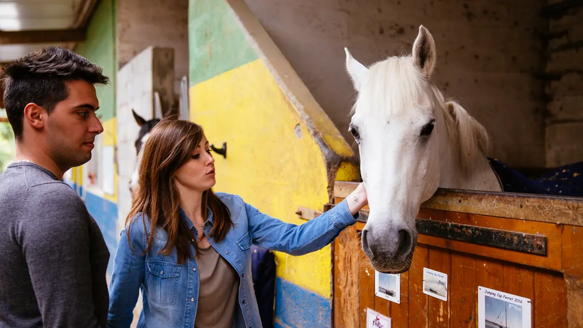 equitation-lege-cap-ferret-7