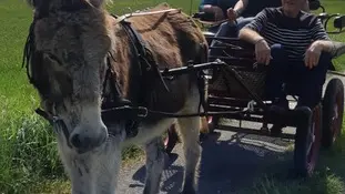 f8f4f877-df4b-4a29-8742-e0097fe6ed61