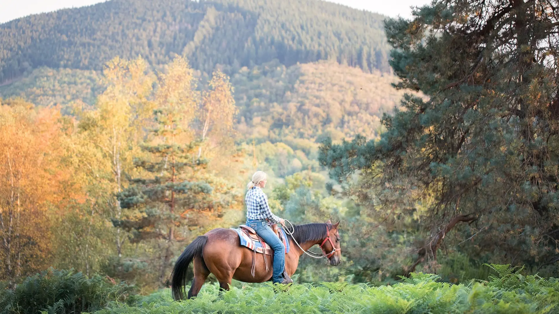 Promenades à cheval en approche éthologique et western_2