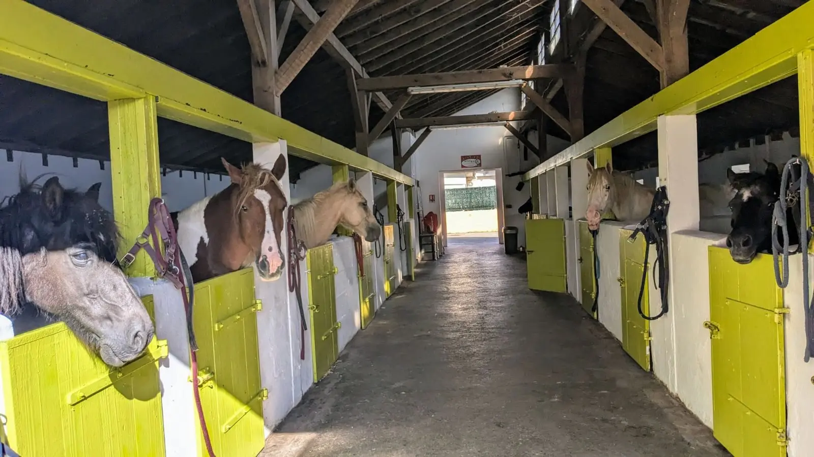 ferme_st_joseph_pau_les écuries