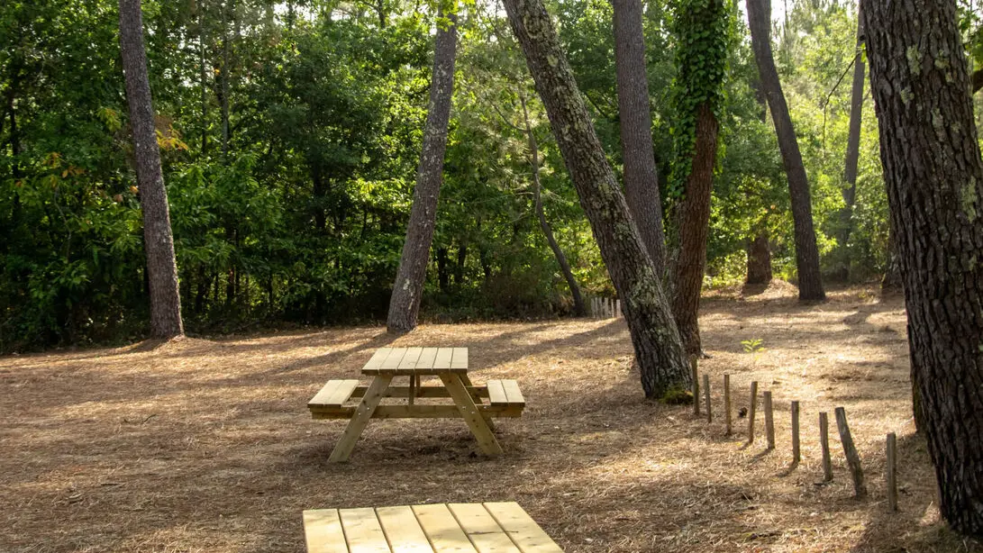 foret-vignoble-tables-beaupouyet-mussidan-toursime-vallee-isle