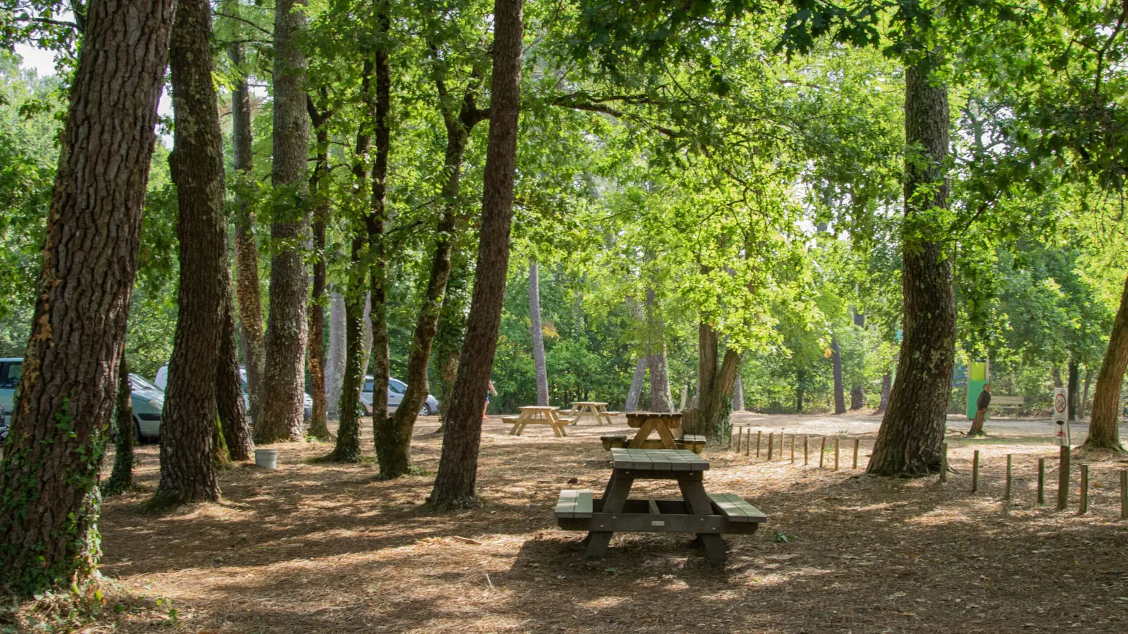 foret-vignoble-tables-ombragees-beaupouyet-mussidan-toursime-vallee-isle