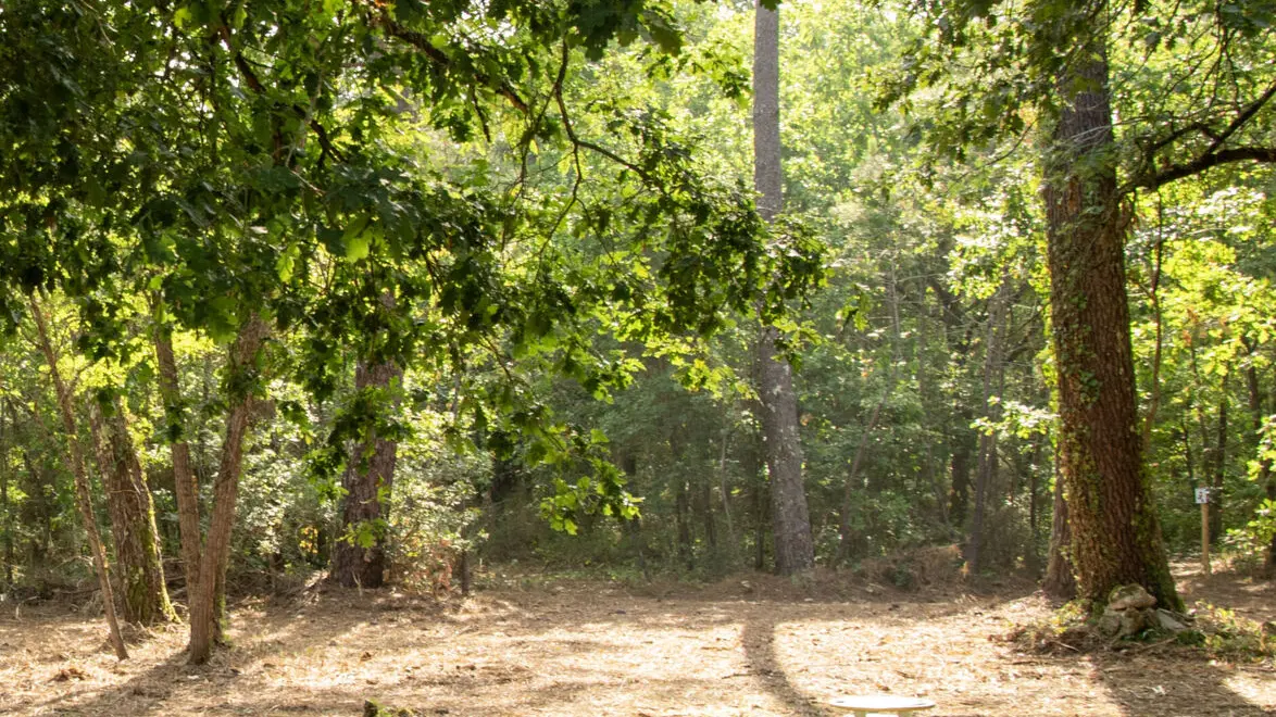 foret-vignoble-jeux-enfants-beaupouyet-mussidan-toursime-vallee-isle