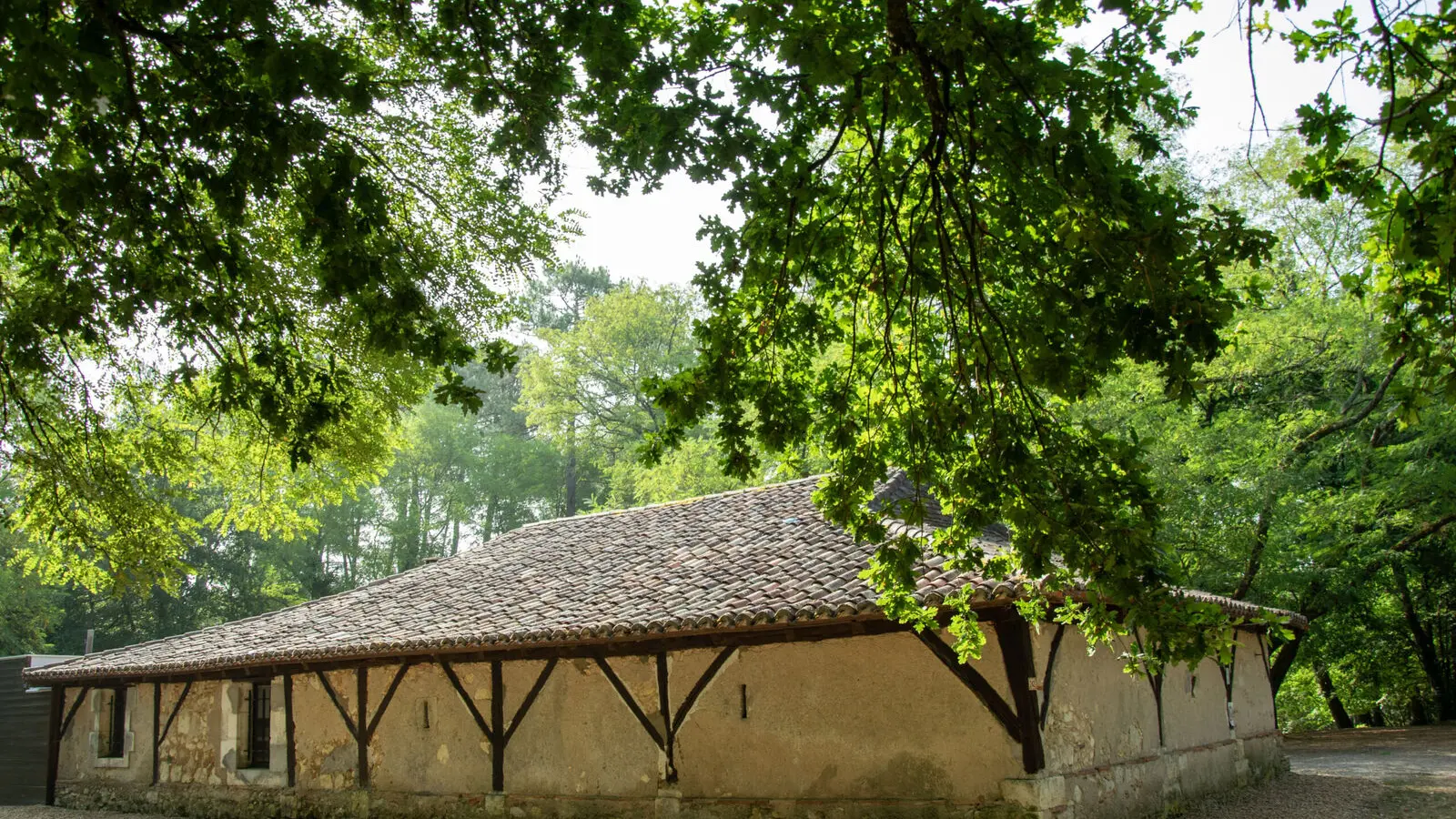 foret-vignoble-location-salle-beaupouyet-mussidan-toursime-vallee-isle