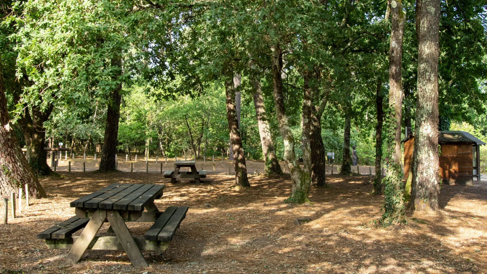 foret-vignoble-pique-nique-beaupouyet-mussidan-toursime-vallee-isle