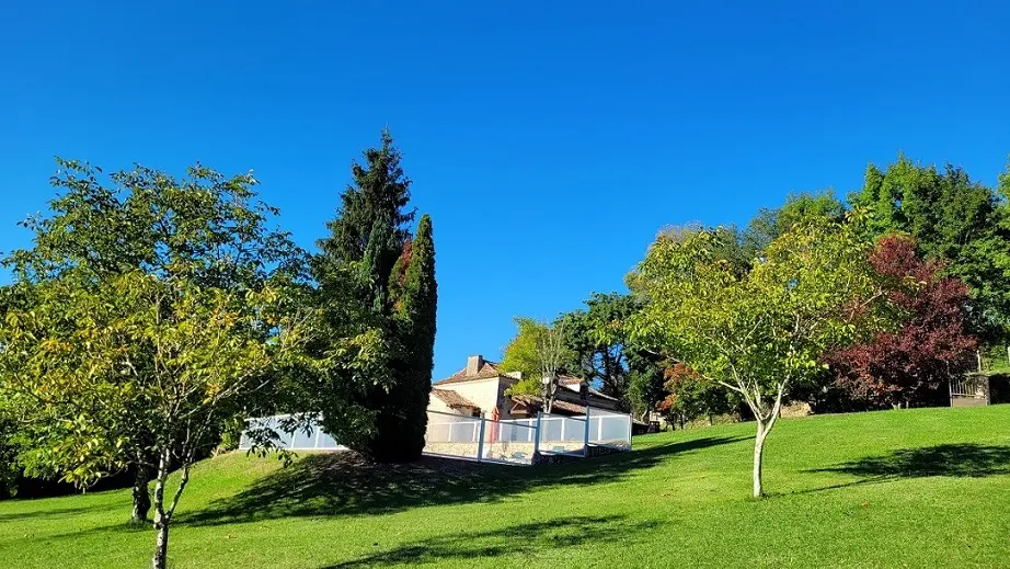 le grand parc avec la piscine en fond