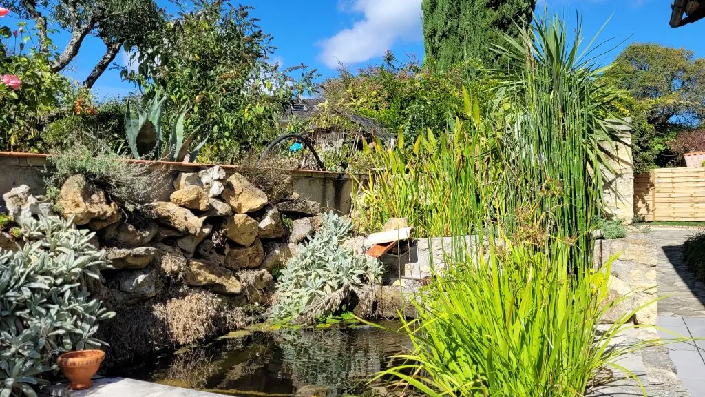 le bassin d'ornement du gite Pierre Forte