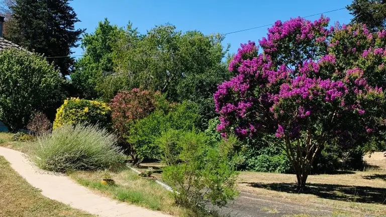 gite-taillandier-neuvic-fleurs