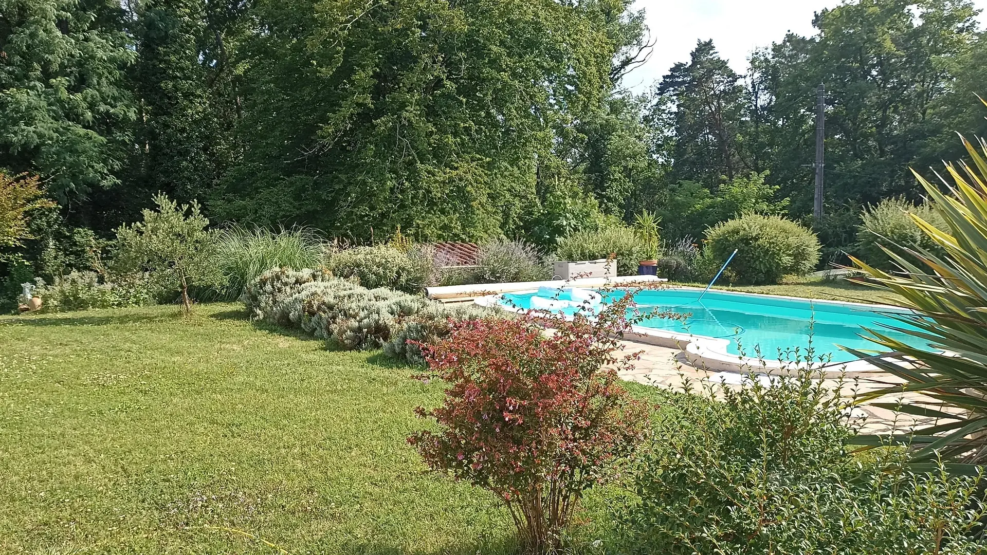 Tranquilou avec piscine proche de Sarlat_2