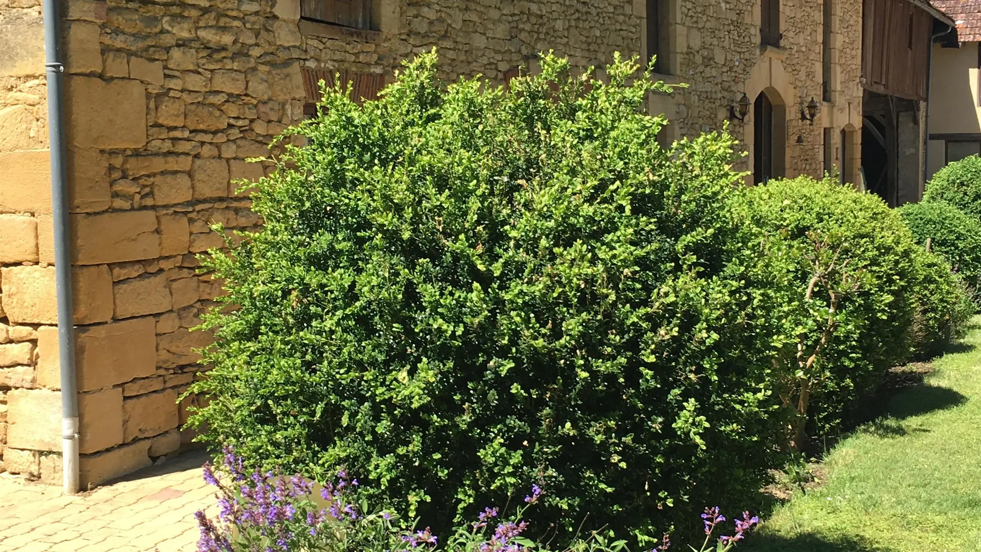 La Grange du Barry proche de Sarlat_4