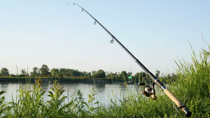 image pêche